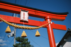 正月晴れ