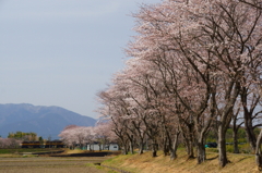 130330_三岐線_北勢中央公園口－保々
