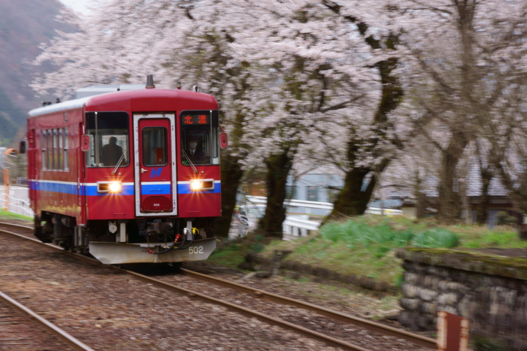 130407_長良川鉄道_郡上大和