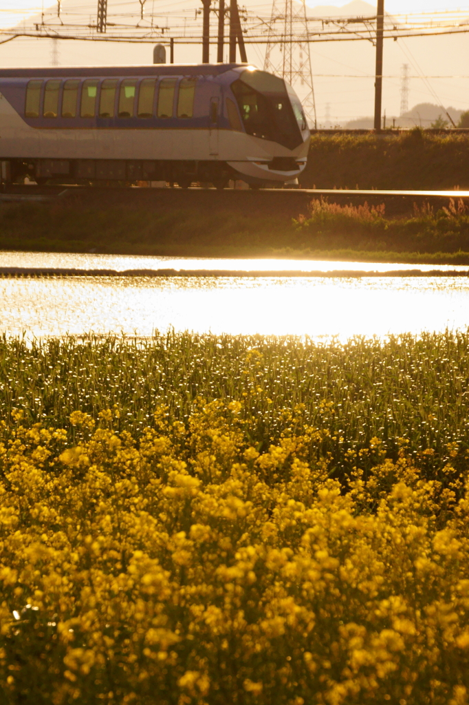 130428_しまかぜ_桑名－近鉄長島