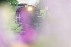 130420_大井川鐵道_田野口_3