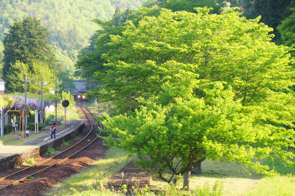130505_長良川鉄道_湯の洞温泉口_2