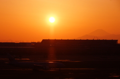 夕陽のシャワー