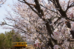 130330_北勢線_七和－穴太_2