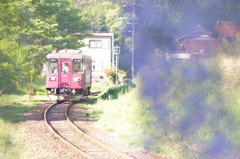 130505_長良川鉄道_湯の洞温泉口_1