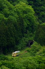 緑の渓