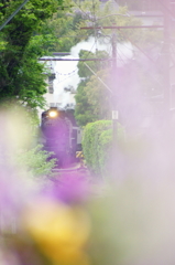 130420_大井川鐵道_田野口_2