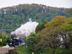 初秋SL北びわこ号
