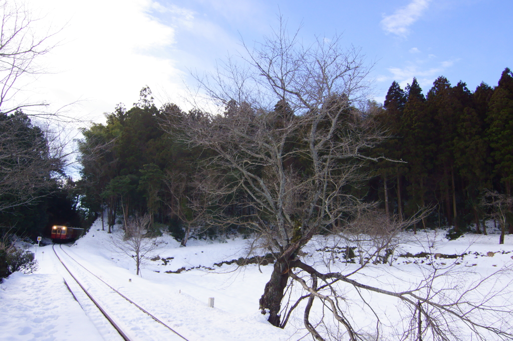 雪のいたぶ