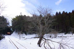 雪のいたぶ