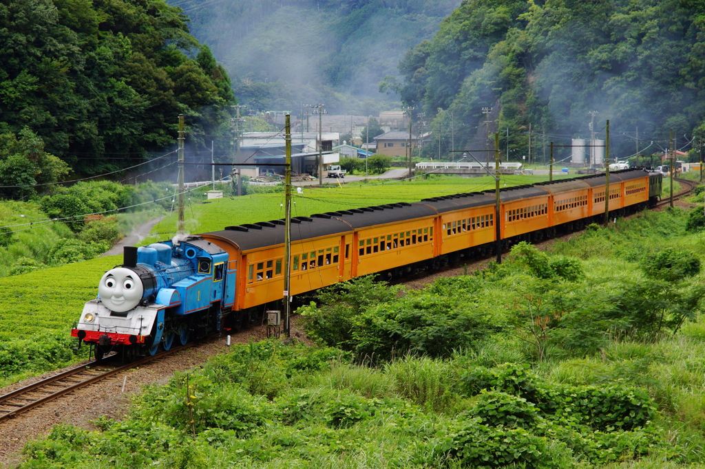 トーマスがゆく