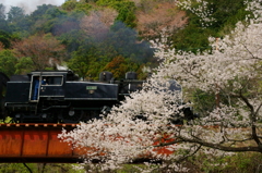 130323_大井川鉄道_川根温泉笹間渡－地名_2