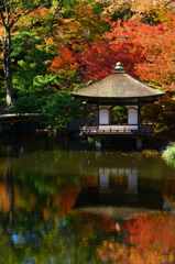 和景