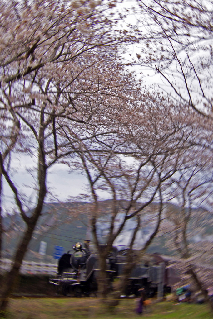 130323_大井川鉄道_家山－大和田_1