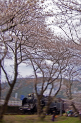 130323_大井川鉄道_家山－大和田_1