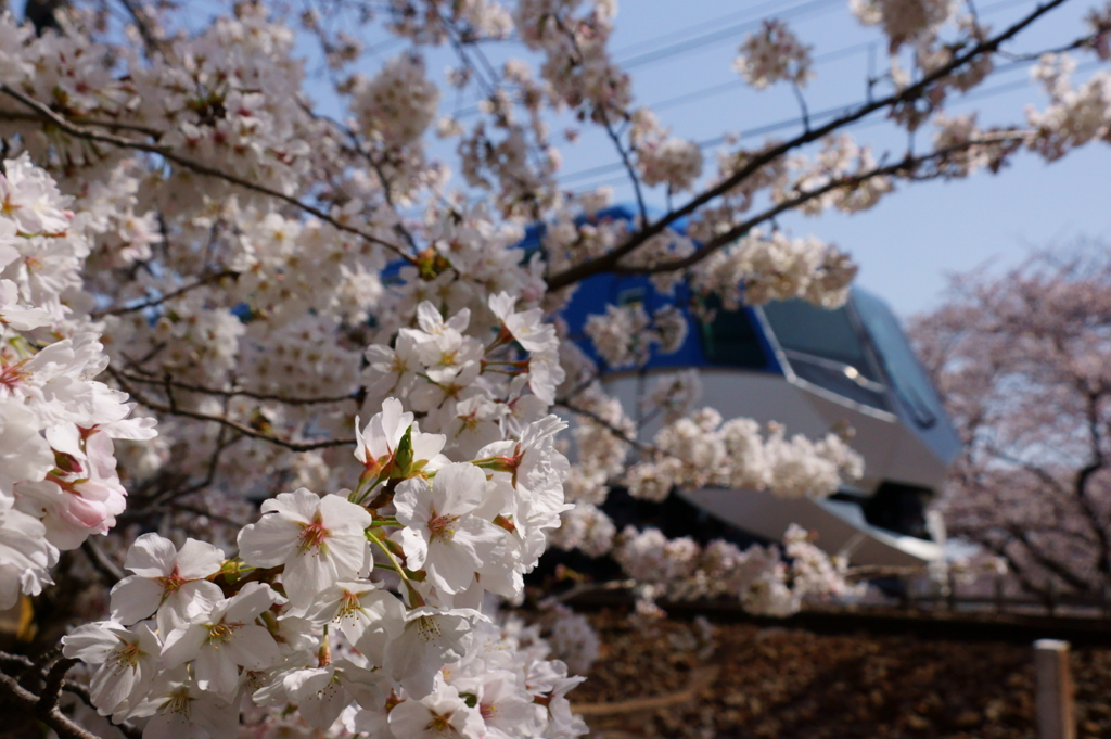 130330_しまかぜ_阿倉川－川原町