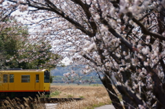 130330_北勢線_七和－穴太