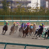 砂コーナー