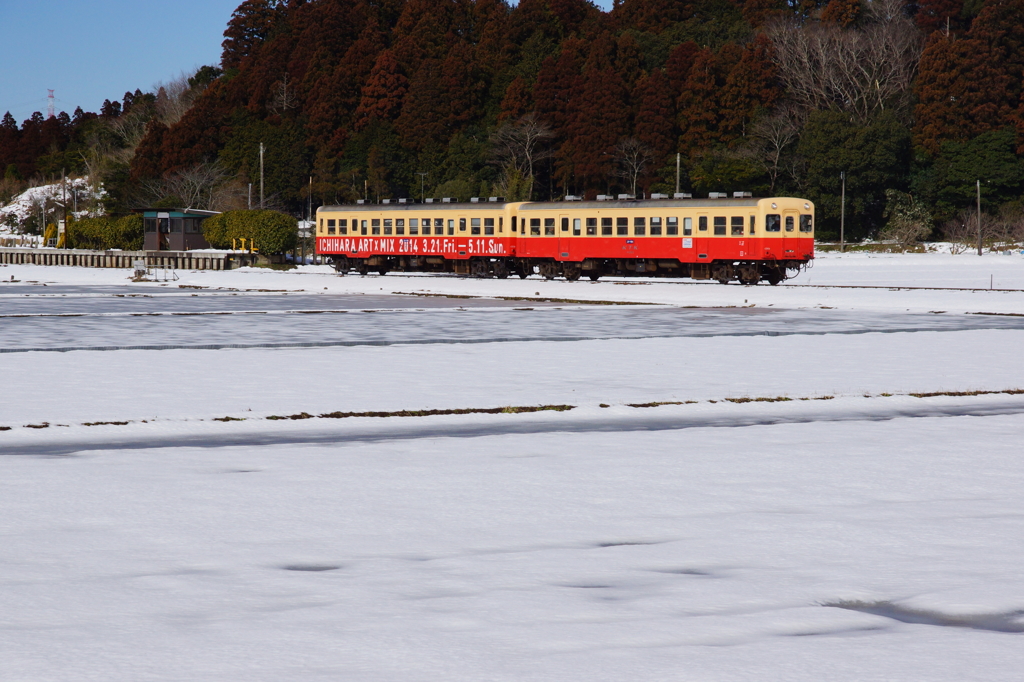 On The ICE
