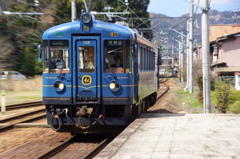 あおまつ