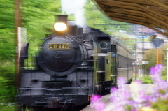 130420_大井川鐵道_田野口_4