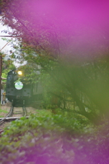 130420_大井川鐵道_田野口_5