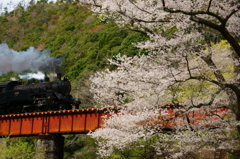 130323_大井川鉄道_川根温泉笹間渡－地名