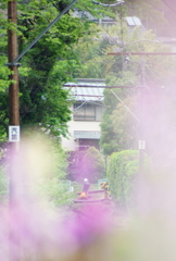 130420_大井川鐵道_田野口_1