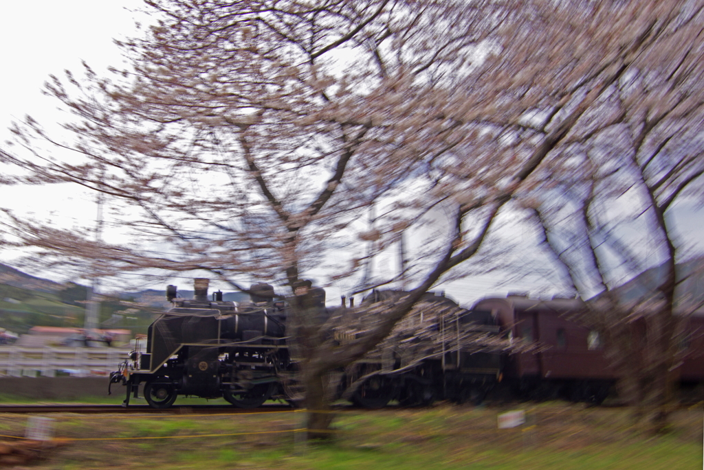 130323_大井川鉄道_家山－大和田_2