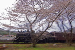 130323_大井川鉄道_家山－大和田_2