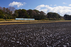 トリプル水玉模様