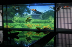 景色