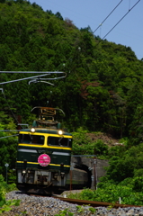 青い空と渋い緑