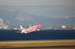 空を泳ぐジンベイ
