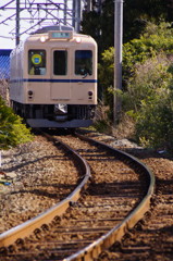 dark blue line
