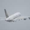 雨空へ