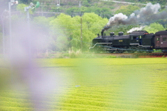 130420_大井川鐵道_家山－抜里_1