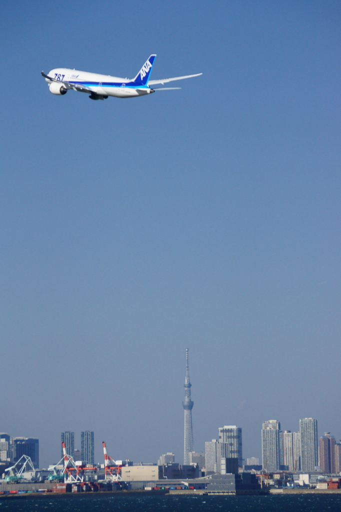スカイツリーの上空を