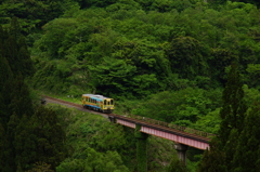 緑の中の鉄橋