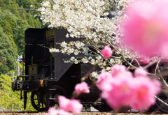 130323_大井川鉄道_川根温泉笹間渡－地名_3