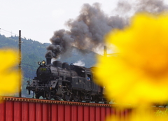 130516_大井川鉄道_抜里－川根温泉笹間渡