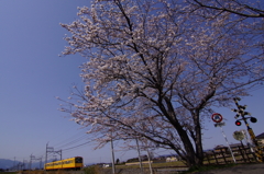 130330_北勢線_穴太－東員