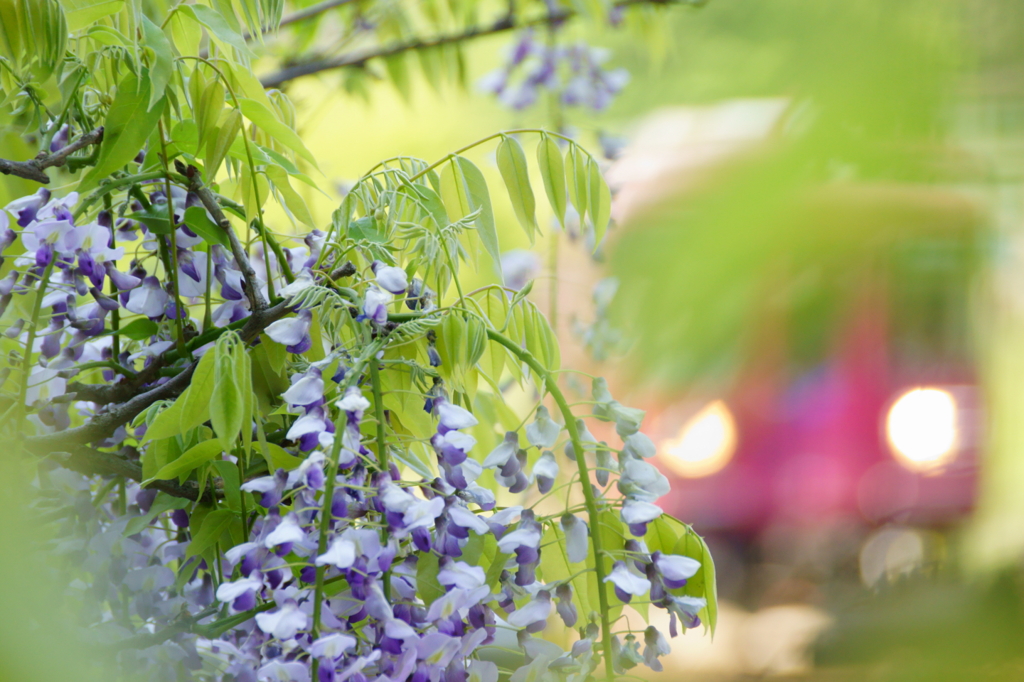 130505_長良川鉄道_湯の洞温泉口_4