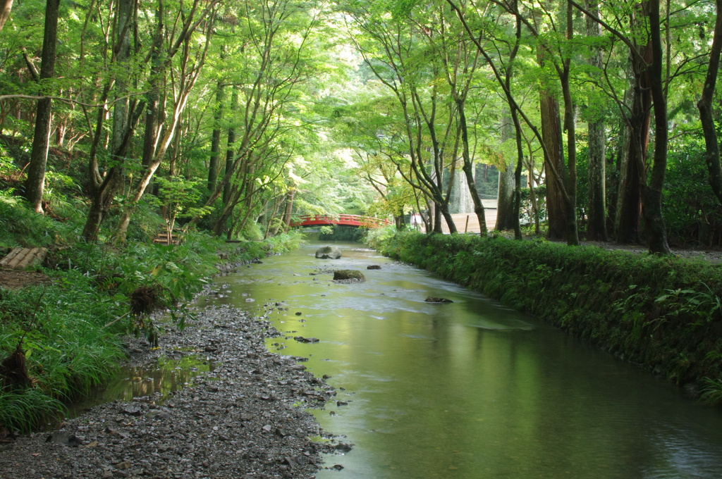 the Green