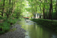 the Green