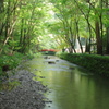 the Green