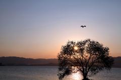 Mother Lake 2