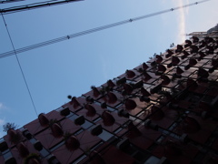 秋の空