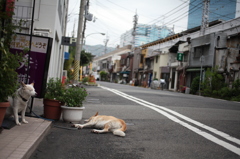 神戸 相生町