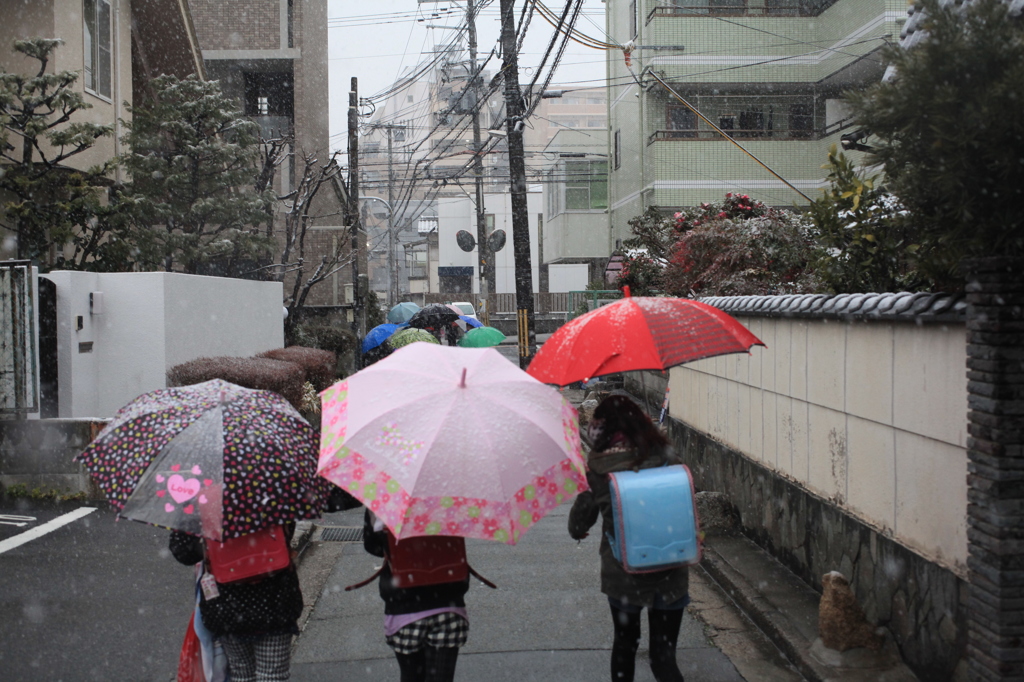 雪の朝 